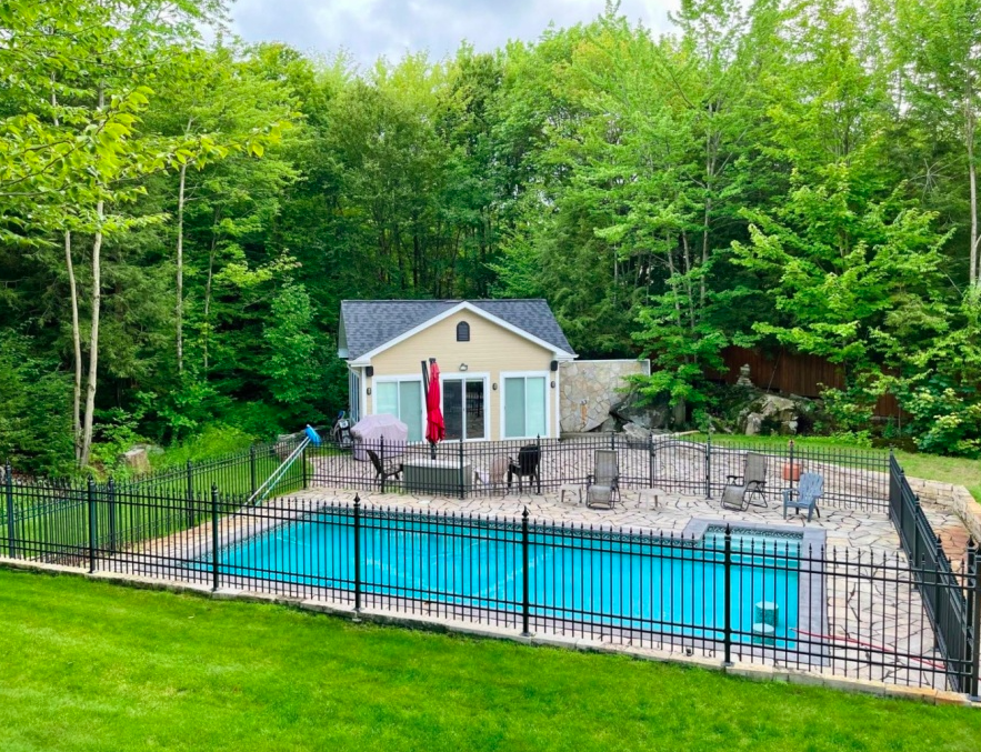 La piscine creusée avec vue sur la forêt