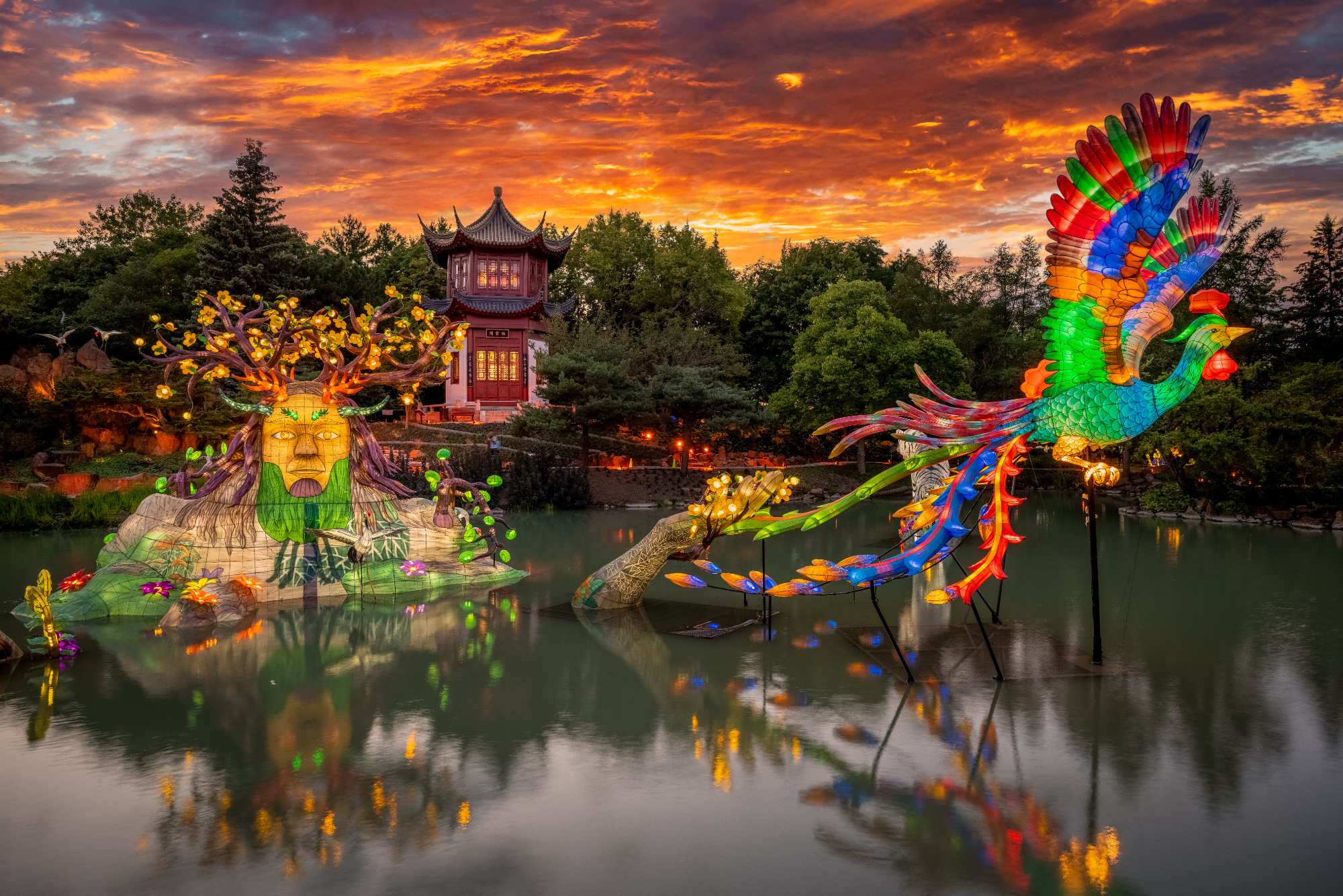 Visit the Gardens of Light at the Botanical Garden