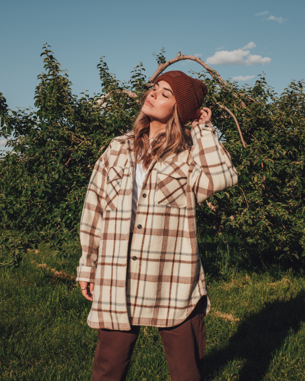 Mont-Blanc Collection