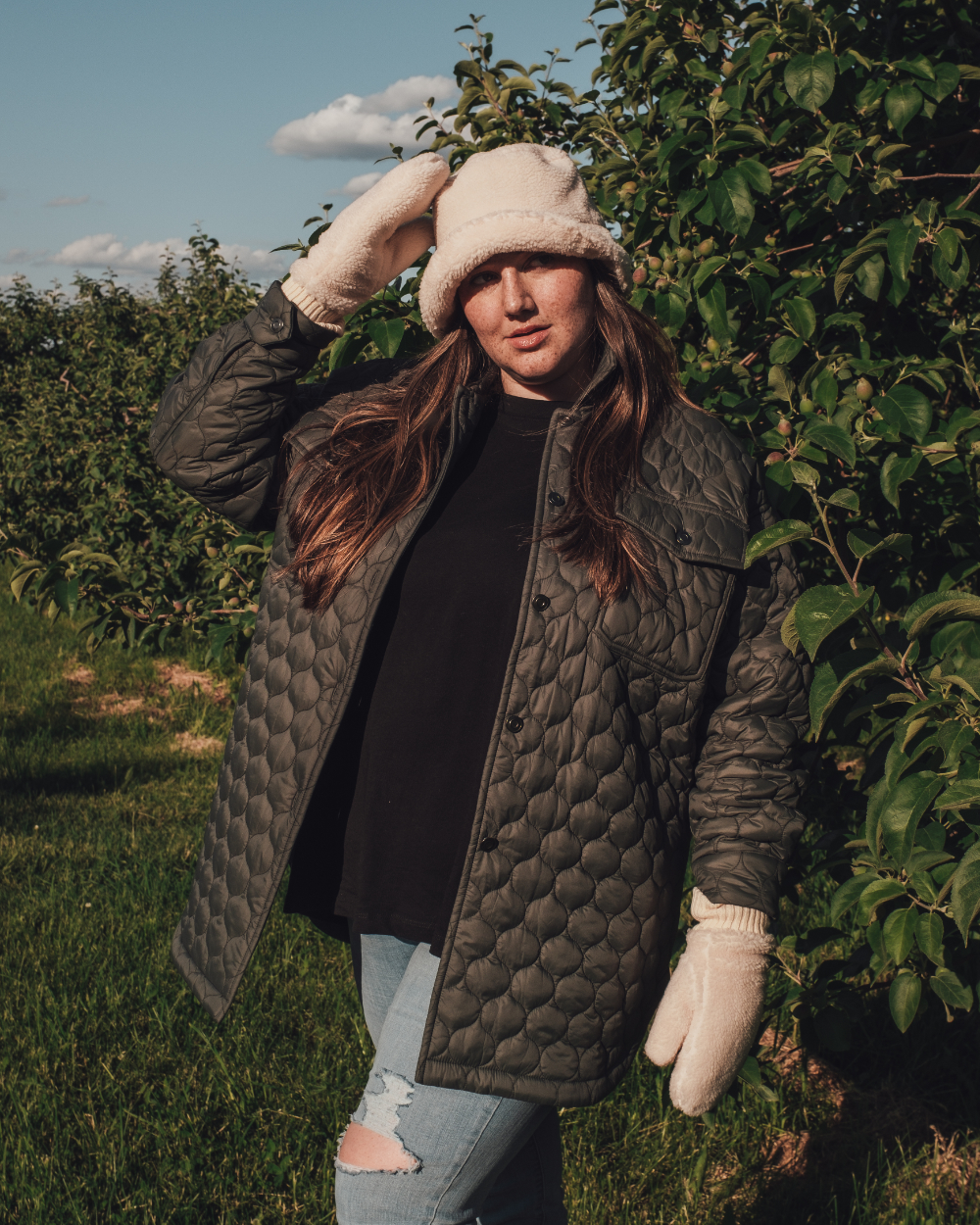 Mont-Blanc Collection