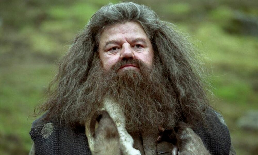De Quoi Est Mort Andy Fletcher Depeche Mode Hagrid n’est plus, les fans d’Harry Potter pleurent la mort de Robbie